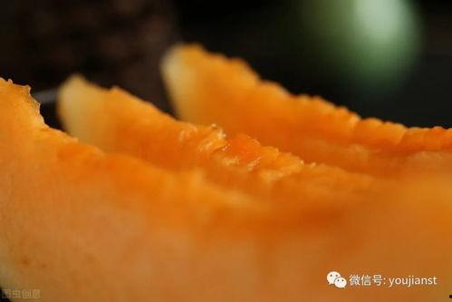 认真的吃瓜路人