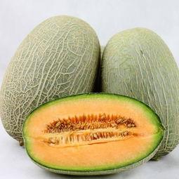 爱上吃哈密瓜,一场味蕾的浪漫之旅