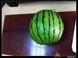 吃瓜09,一场全民参与的娱乐盛宴